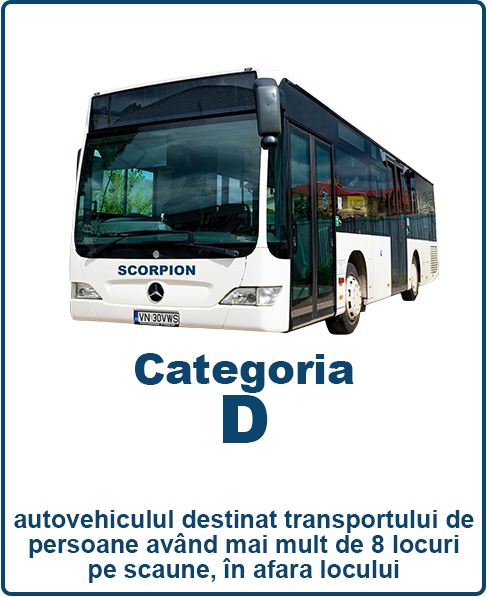 Categoria D