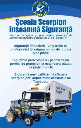 Scorpion Inseamna Libertate Financiara